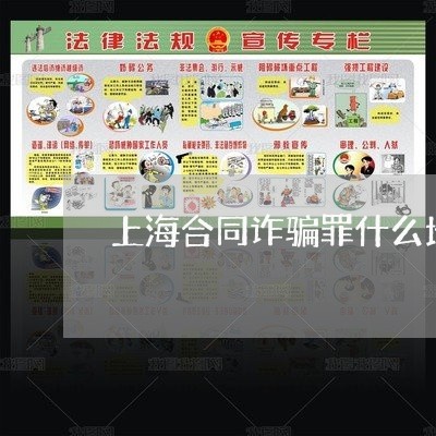 上海合同诈骗罪什么地方报警在/2023060228482 上海合同诈骗罪什么地方报警在/2023060228482