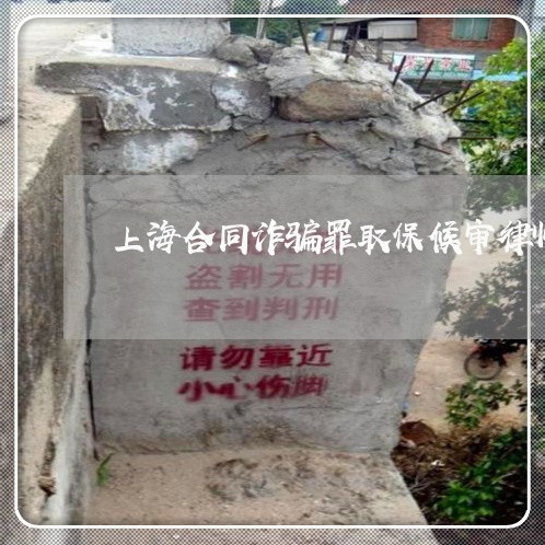 上海合同诈骗罪取保候审律师/2023032961704 上海合同诈骗罪取保候审律师/2023032961704