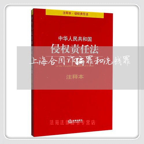上海合同诈骗罪和洗钱罪/2023022685260 上海合同诈骗罪和洗钱罪/2023022685260