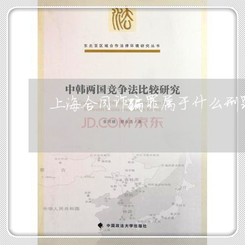 上海合同诈骗罪属于什么刑罚/2023032983615