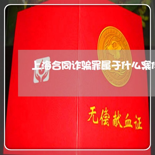 上海合同诈骗罪属于什么案件/2023032959381