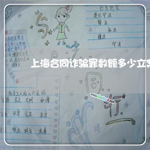 上海合同诈骗罪数额多少立案/2023032984827