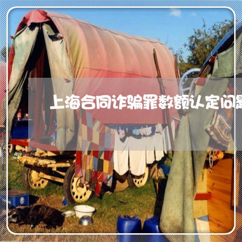 上海合同诈骗罪数额认定问题/2023032928203