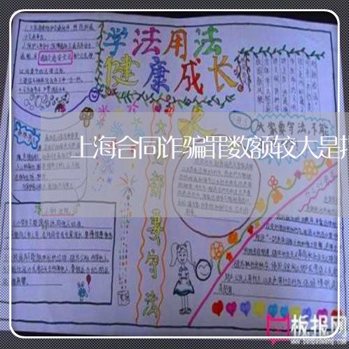 上海合同诈骗罪数额较大是指/2023032940502