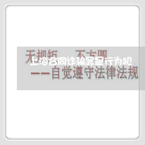 上海合同诈骗罪是行为犯/2023022682492 上海合同诈骗罪是行为犯/2023022682492
