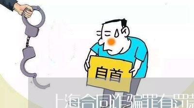 上海合同诈骗罪有罚款么/2023022672794
