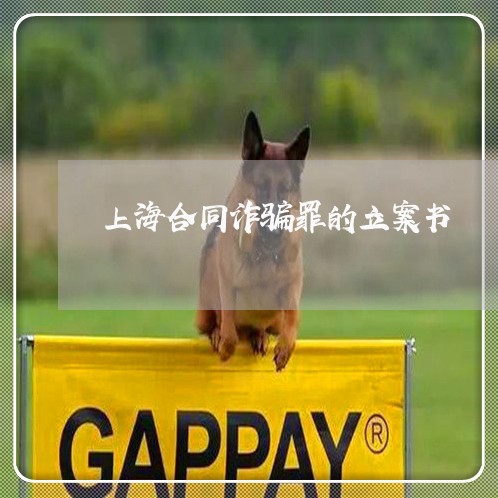 上海合同诈骗罪的立案书/2023022638470 上海合同诈骗罪的立案书/2023022638470