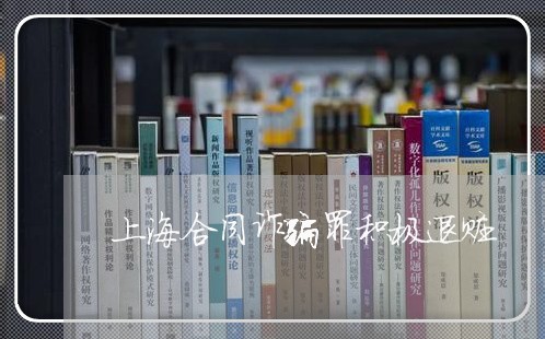 上海合同诈骗罪积极退赃/2023022649171