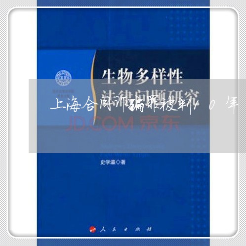 上海合同诈骗罪被判10年/2023031551483