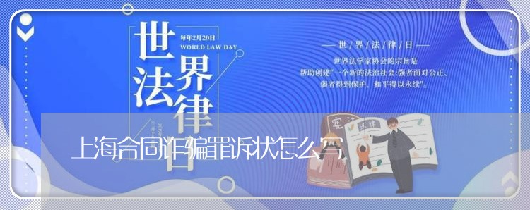 上海合同诈骗罪诉状怎么写/2023031540389
