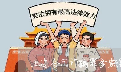 上海合同诈骗罪金额累加/2023022649481 上海合同诈骗罪金额累加/2023022649481