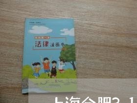 上海合肥312国道交通事故/2023032995159