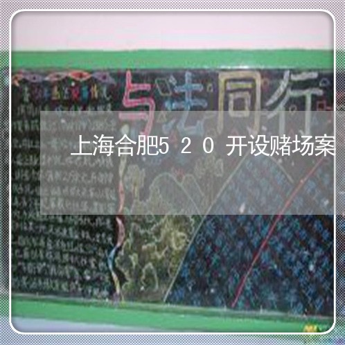 上海合肥520开设赌场案/2023031549368 上海合肥520开设赌场案/2023031549368