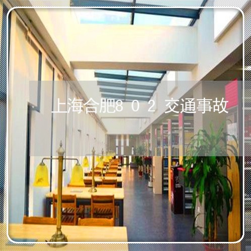 上海合肥802交通事故/2023022618392 上海合肥802交通事故/2023022618392