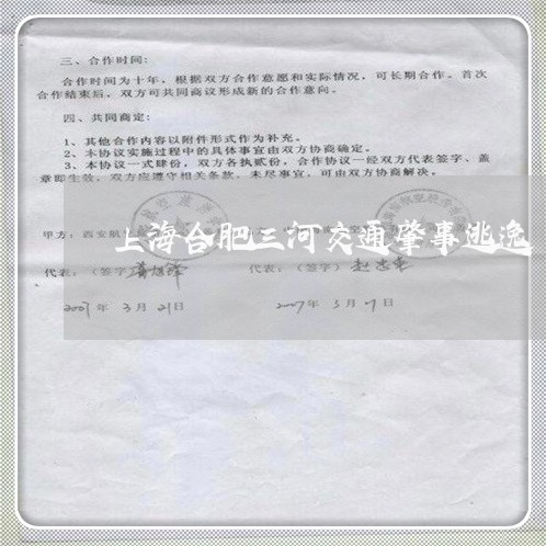 上海合肥三河交通肇事逃逸/2023031550595 上海合肥三河交通肇事逃逸/2023031550595