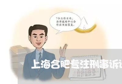 上海合肥专注刑事诉讼律师/2023031526163