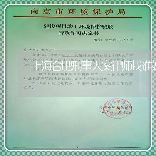上海合肥刑事大案律师找谁好/2023032927151