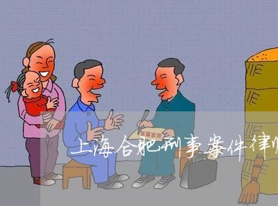 上海合肥刑事案件律师推荐/2023031529482