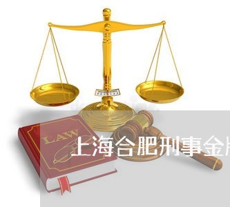 上海合肥刑事金牌辩护律师/2023031582596 上海合肥刑事金牌辩护律师/2023031582596