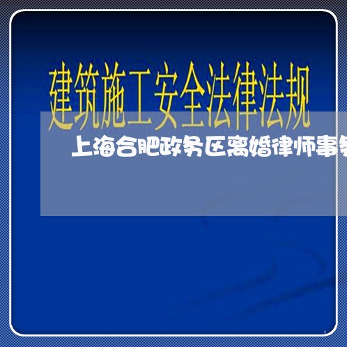 上海合肥政务区离婚律师事务所/2023060224148