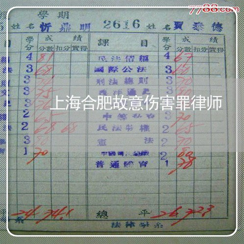 上海合肥故意伤害罪律师/2023022630302 上海合肥故意伤害罪律师/2023022630302