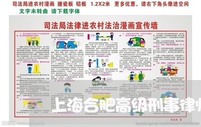 上海合肥高级刑事律师辩护/2023031506057 上海合肥高级刑事律师辩护/2023031506057