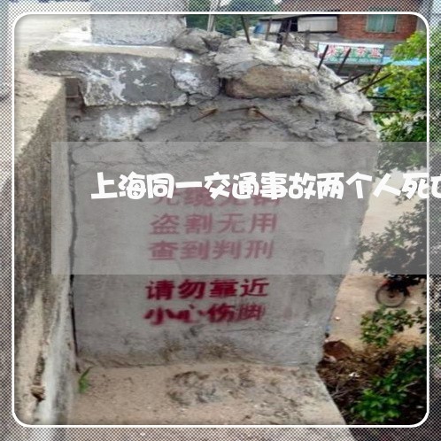 上海同一交通事故两个人死亡/2023032972695 上海同一交通事故两个人死亡/2023032972695