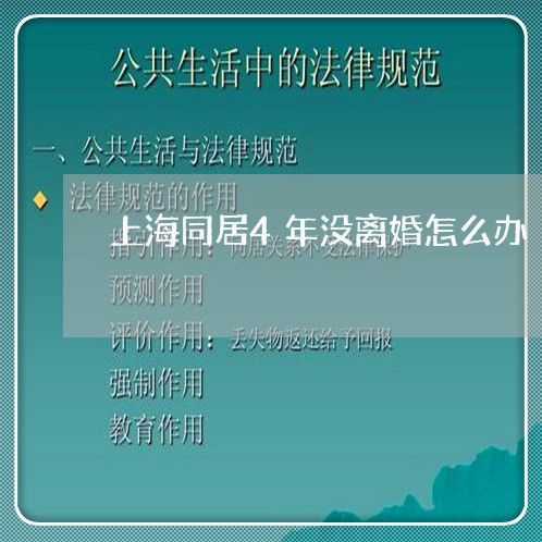 上海同居4年没离婚怎么办/2023031507248