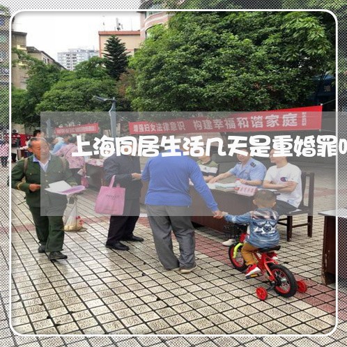 上海同居生活几天是重婚罪吗/2023032916057 上海同居生活几天是重婚罪吗/2023032916057