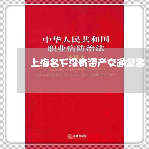 上海名下没有资产交通肇事/2023031526151 上海名下没有资产交通肇事/2023031526151