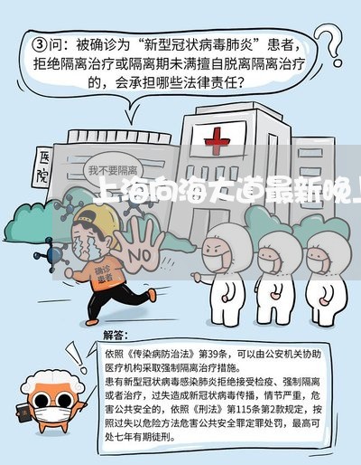 上海向海大道最新晚上交通事故/2023060216283
