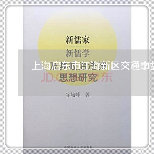 上海启东市江海新区交通事故/2023032928370
