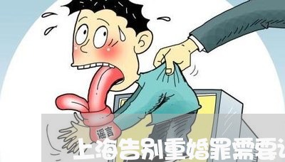 上海告别重婚罪需要证据吗/2023031527461