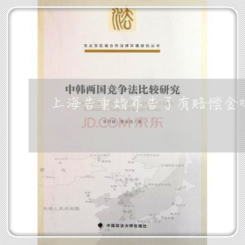 上海告重婚罪告了有赔偿金吗/2023032904925 上海告重婚罪告了有赔偿金吗/2023032904925