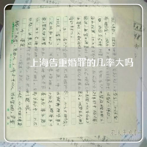 上海告重婚罪的几率大吗/2023022684748 上海告重婚罪的几率大吗/2023022684748