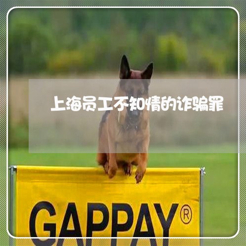 上海员工不知情的诈骗罪/2023022619370 上海员工不知情的诈骗罪/2023022619370