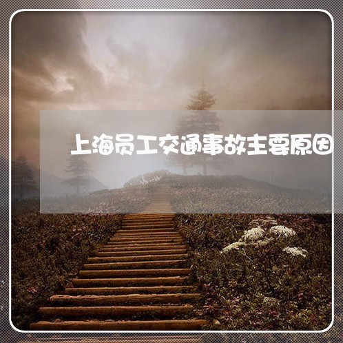 上海员工交通事故主要原因/2023031581694 上海员工交通事故主要原因/2023031581694