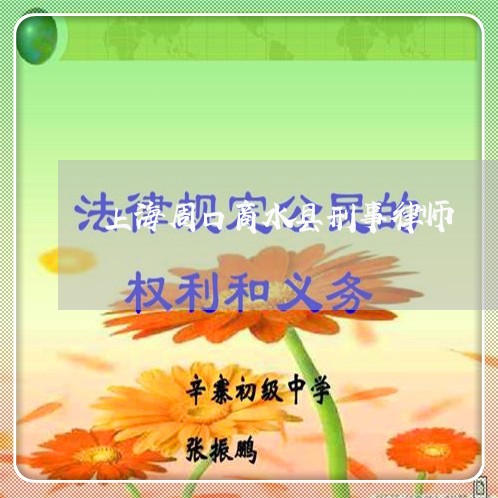 上海周口商水县刑事律师/2023022684814
