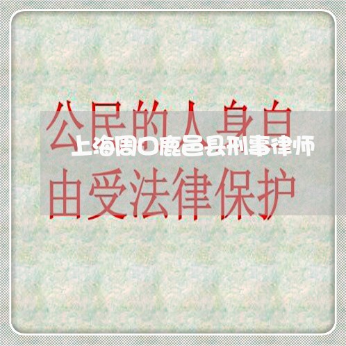 上海周口鹿邑县刑事律师/2023022637358 上海周口鹿邑县刑事律师/2023022637358