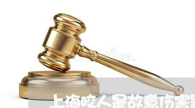 上海咬人是故意伤害罪量刑标准/2023060299361