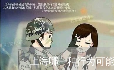 上海哪一种行为可能构成诈骗罪/2023060257470 上海哪一种行为可能构成诈骗罪/2023060257470