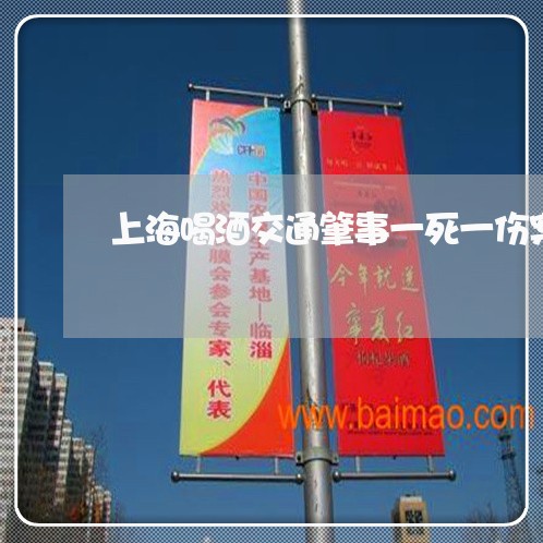 上海喝酒交通肇事一死一伤案例/2023060150492