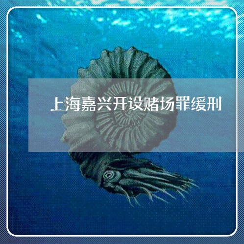 上海嘉兴开设赌场罪缓刑/2023022514069 上海嘉兴开设赌场罪缓刑/2023022514069