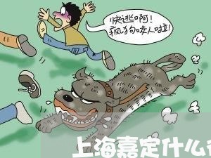上海嘉定什么律师比较好/2023022562795