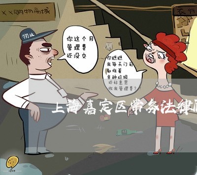 上海嘉定区常务法律顾问/2023061827249 上海嘉定区常务法律顾问/2023061827249