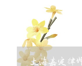 上海嘉定律师事务所在什么地方/2023060217341 上海嘉定律师事务所在什么地方/2023060217341