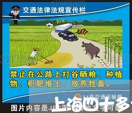 上海四十多女人离婚该不该离家/2023060263837