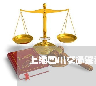 上海四川交通肇事者逃逸/2023022525950