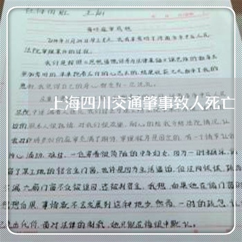 上海四川交通肇事致人死亡/2023031448282