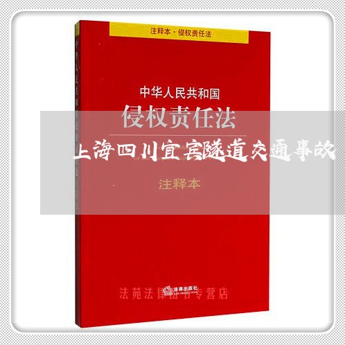 上海四川宜宾隧道交通事故/2023031469493